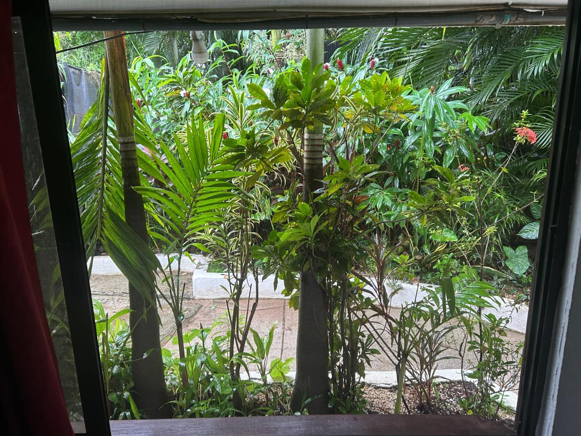 Pura Vida Hostel Tamarindo Dış mekan fotoğraf